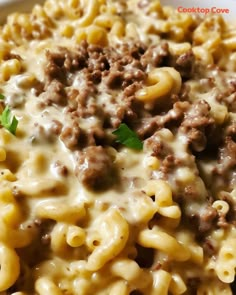 a close up of a plate of macaroni and cheese with meat on it