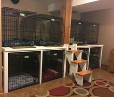 several cages are lined up on the floor in front of a stair case that leads to another room