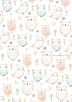 an image of owls and flowers on a white background with blue, pink, and orange colors