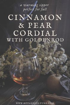 cinnamon and pear cordial with goldenrod in a glass on a wooden table next to an apple