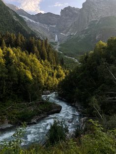 a river running through a lush green forest