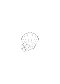 a drawing of a seashell with a flower on the top and an ocean wave in the bottom