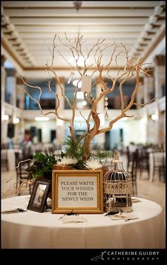 a table topped with a tree and pictures