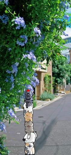 a street scene with focus on the reflection of a person walking in front of blue flowers