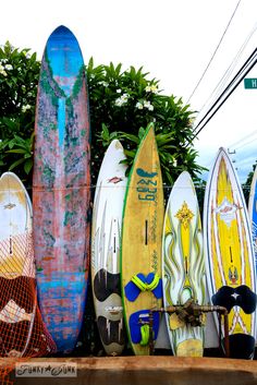 several surfboards are lined up against a wall in front of some bushes and trees