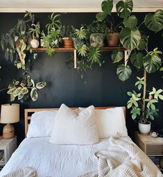 a bed topped with lots of green plants next to a wall mounted potted plant