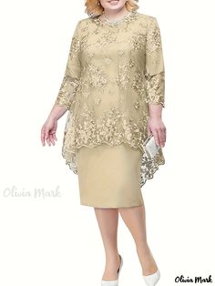 Olivia Mark - Womens Plus Size Contrast Mesh Solid Midi Dress with 3/4 Sleeves: An Elegant Embroidered Choice