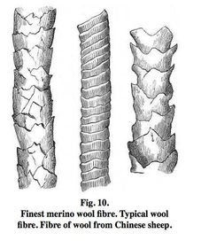 three different types of wood from china