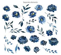 blue flowers and leaves on a white background