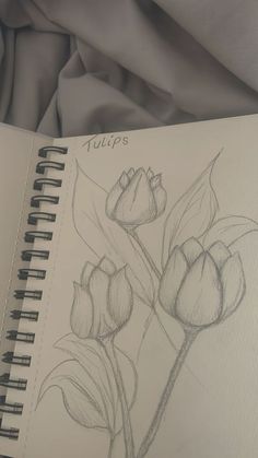 a drawing of tulips in a notebook on a bed