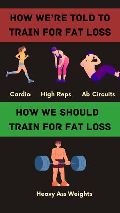 fat loss training Fat Loss Cardio, Ab Circuit, Fat Loss Program, Cardio, Density, Circuit, How To Find Out