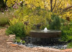 a water fountain surrounded by plants and rocks in a garden area with yellow leaves on the trees