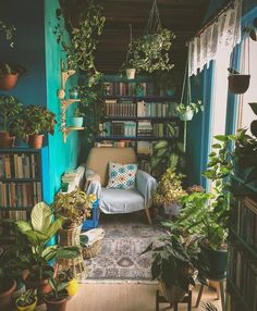 a room filled with lots of potted plants and bookshelves next to a couch