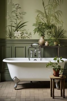 a bathtub with plants on the wall behind it