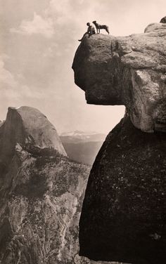 two dogs are standing on the edge of a cliff