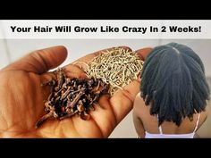 Clove And Rosemary Water For Maximum Hair Growth And Thicker Hair Within 2 Weeks #cloves #rosemary - YouTube Cloves Recipes, Rosemary Water, Natural Hair Growth Oil, Rosemary Oil For Hair, Hair Growth Foods, Extreme Hair Growth, Hair Remedies For Growth, How To Dry Rosemary, Hair Regrowth