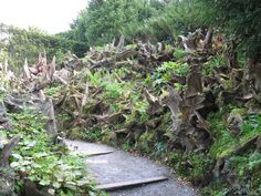 a stone path surrounded by lush green trees and plants on the side of a hill