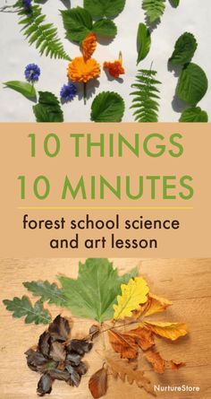 an image of leaves and flowers with the title 10 things 10 minutes forest school science and art lesson