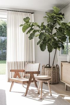 an image of a living room with plants on the wall