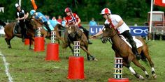 two jockeys are riding horses over obstacles in an obstacle course as people watch from the stands