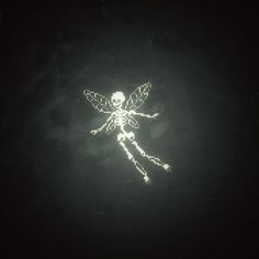 a lit up insect in the dark with its wings spread out and it's eyes open