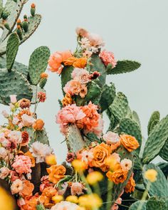 an assortment of colorful flowers and cactus plants