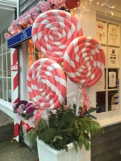 large red and white lollipops on display in front of store