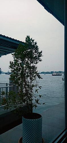 a potted plant sitting on top of a window sill next to a body of water