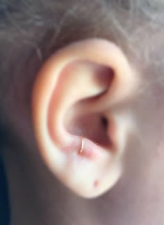 an ear with a tiny gold ring on it