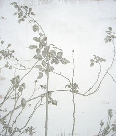 a tree branch with small leaves in front of a white wall