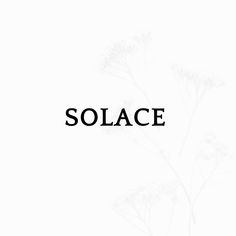 the word solace is written in black on a white background with flowers and leaves