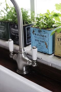 the kitchen herb garden is on the windowsill in the window sill above the sink