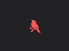 a red bird sitting on top of a tree branch in the dark night with no one around