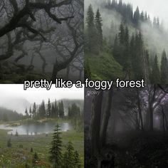 two pictures with trees and fog in them