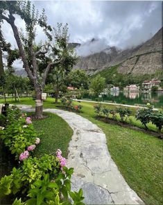 a path leading to a lake with mountains in the background and flowers growing on both sides