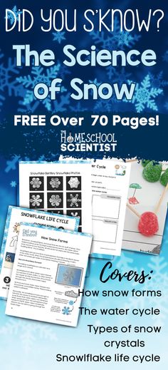 the science of snow flyer is shown with information about how to use it and what you can