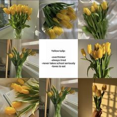 yellow tulips are arranged in vases and placed on the windowsill for display