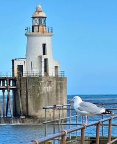 a seagull sitting on the railing next to a light house