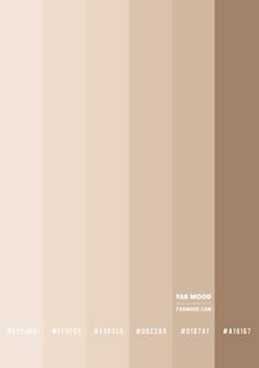 an image of the same color scheme for different things in the world that are brown and beige