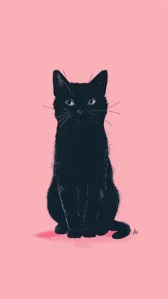 a black cat sitting on top of a pink background