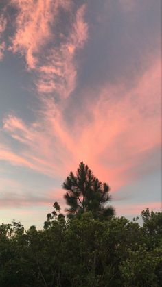 the sky is pink and blue with some clouds in front of it, as well as trees