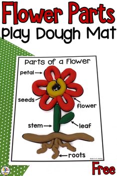 a flower parts play dough mat with the words, parts of a flower and roots