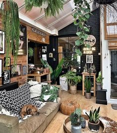 a living room filled with lots of plants and furniture