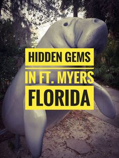 an elephant statue with the words hidden gems in it's eyes florida on top