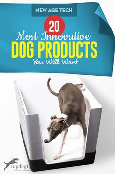 an advertisement for the new age tech product, featuring a dog jumping out of a box