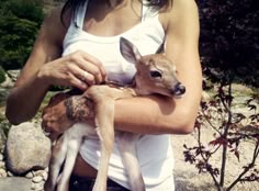 a woman holding a baby deer in her arms