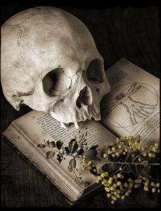 a skull sitting on top of an open book