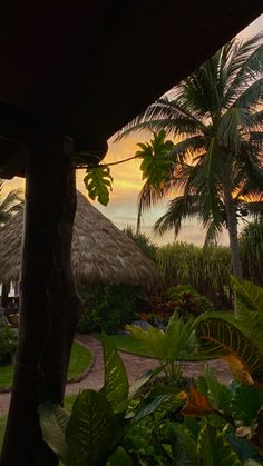 Tropical sunset at a hotel with palm trees and green in the background. Tropical Sunset Wallpaper, Praise Jah In The Moonlight, Dark Tropical Aesthetic, Tropical Pfp, Tropicana Juice, Philippine Sun, Hotel View, Tropical Sun