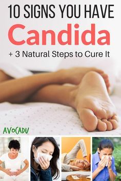 Candida Overgrowth Symptoms, Candida Symptoms, Kat Diy, Candida Diet Recipes, Candida Cleanse, Candida Overgrowth, Candida Diet, Stomach Issues, Good Health Tips