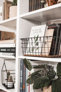 bookshelves with plants and baskets on them in front of white shelves filled with books